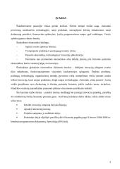 Verslo plėtros inovacinis projektas: archyvinės dokumentacijos saugojimas ir administravimas UAB "Archyvai" 3 puslapis