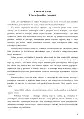 Verslo plėtros inovacinis projektas: archyvinės dokumentacijos saugojimas ir administravimas UAB "Archyvai" 4 puslapis