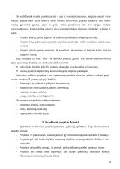 Verslo plėtros inovacinis projektas: archyvinės dokumentacijos saugojimas ir administravimas UAB "Archyvai" 8 puslapis