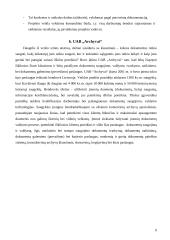 Verslo plėtros inovacinis projektas: archyvinės dokumentacijos saugojimas ir administravimas UAB "Archyvai" 9 puslapis