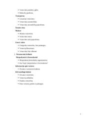 Vestuvių organizavimo paslaugų Lietuvoje įvertinimas 5 puslapis