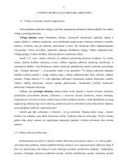 Viešųjų ir privačių organizacijų skirtumai 2 puslapis