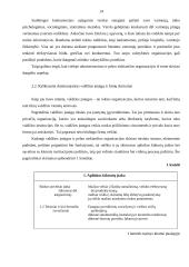 Viešųjų ir privačių organizacijų skirtumai 11 puslapis