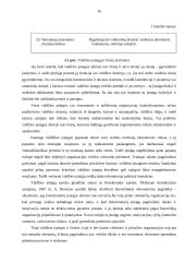 Viešųjų ir privačių organizacijų skirtumai 13 puslapis