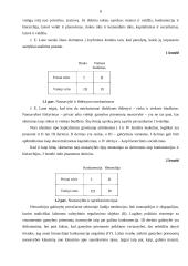 Viešųjų ir privačių organizacijų skirtumai 3 puslapis