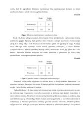Viešųjų ir privačių organizacijų skirtumai 4 puslapis