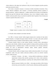 Viešųjų ir privačių organizacijų skirtumai 5 puslapis