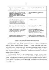 Viešųjų ir privačių organizacijų skirtumai 7 puslapis