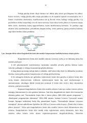 Žemės ūkio problemos įstojus į Europos Sąjungą (ES) 15 puslapis