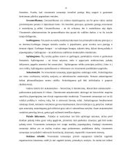 Žmogiškieji ištekliai viešajame administravime 17 puslapis