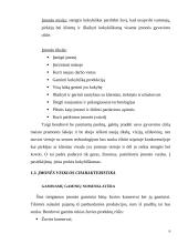 Žuvies konservų gamybos verslo organizavimo proceso projektavimas 6 puslapis