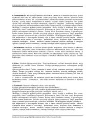 Geografinės sistemos 2 puslapis