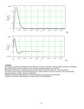 Nepereinamieji procesai 8 puslapis