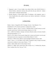 Reakcijos į šviesos ir garso dirgiklį priklausomybės tyrimas 5 puslapis