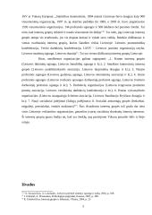 Interesų grupės Lietuvoje 5 puslapis