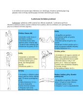 Kūno kultūros savarankiškas darbas 4 puslapis