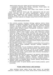 Fizinio ugdymo formos 2 puslapis