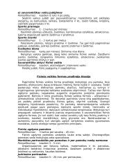 Fizinio ugdymo formos 4 puslapis