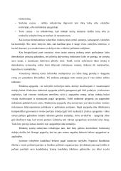 Rinkimų istorija, samprata, organizavimo procesas bei įtaka 5 puslapis