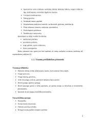 Sportininkų patiriami sužalojimai ir jų prevencija 4 puslapis