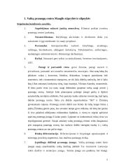 Strateginis valdymas: vaikų pramogų centras "Mauglis" 4 puslapis