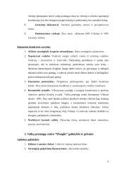 Strateginis valdymas: vaikų pramogų centras "Mauglis" 5 puslapis