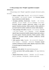 Strateginis valdymas: vaikų pramogų centras "Mauglis" 8 puslapis