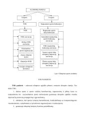 Kūno kultūros pamoka: olimpinis sportas 3 puslapis