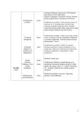 Kūno kultūros pamokos planas: puspolkė 2 puslapis