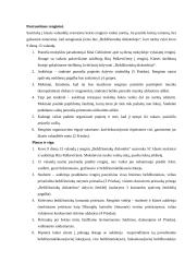 Pagrindinė praktika. Įskaitinis renginys: "Beždžioniukų diskoteka" 3 puslapis