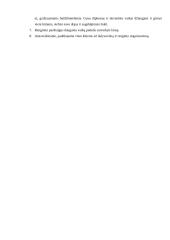 Pagrindinė praktika. Įskaitinis renginys: "Beždžioniukų diskoteka" 4 puslapis