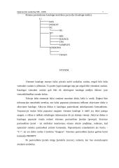 Operacinė sistema - DOS (komandos, failų vardų plėtiniai ir jų paaiškinimas) 8 puslapis
