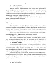 Pažintinės praktikos ataskaita: statybinės medžiagos IĮ "Uola" 12 puslapis