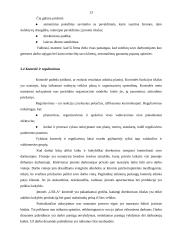 Pažintinės praktikos ataskaita: statybinės medžiagos IĮ "Uola" 13 puslapis