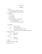 Praktikos ataskaita: Kaimo sodyba "Pas Remigijų Šinkūną" 2 puslapis