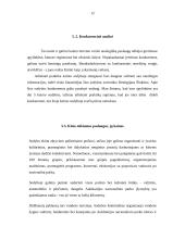 Praktikos ataskaita: Kaimo sodyba "Pas Remigijų Šinkūną" 12 puslapis