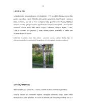 Praktikos ataskaita: Kaimo sodyba "Pas Remigijų Šinkūną" 15 puslapis