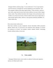 Praktikos ataskaita: Kaimo sodyba "Pas Remigijų Šinkūną" 18 puslapis