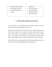 Praktikos ataskaita: Kaimo sodyba "Pas Remigijų Šinkūną" 9 puslapis