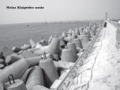 Atitvėrimo statiniai 17 puslapis