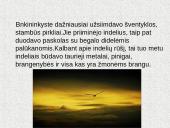 Bankų raida pasaulyje 5 puslapis