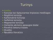 Cheminė cementinio akmens korozija 2 puslapis