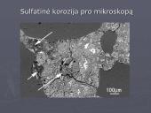 Cheminė cementinio akmens korozija 13 puslapis