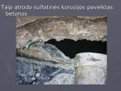 Cheminė cementinio akmens korozija 14 puslapis