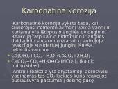 Cheminė cementinio akmens korozija 10 puslapis