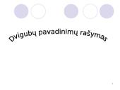 Dvigubi pavadinimai 12 puslapis
