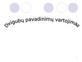 Dvigubi pavadinimai 16 puslapis
