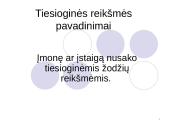 Dvigubi pavadinimai 2 puslapis
