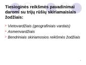 Dvigubi pavadinimai 3 puslapis