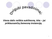 Dvigubi pavadinimai 7 puslapis
